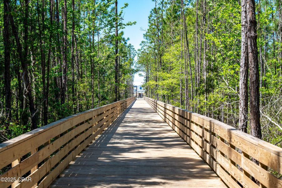 Natural landscape and outdoor views near Breakfast Point East in Panama City Beach (Image 8).