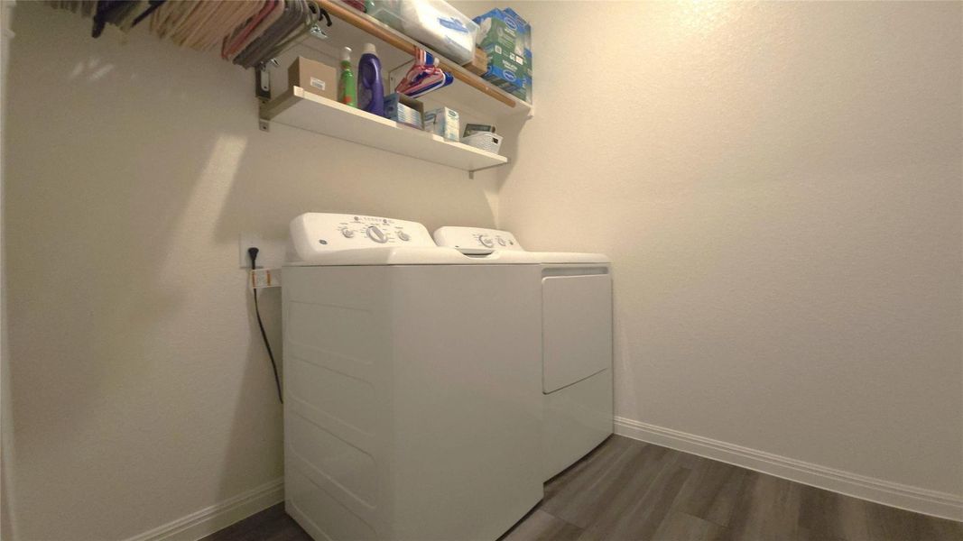 Dedicated laundry area featuring wood-finish flooring and neutral wall tones