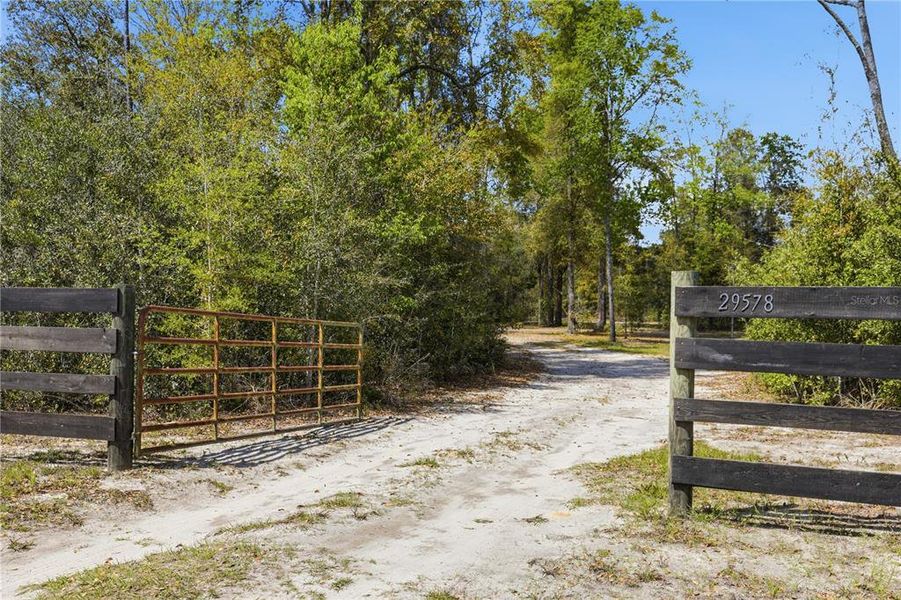 Natural landscape and outdoor views near  in Newberry (Image 28).