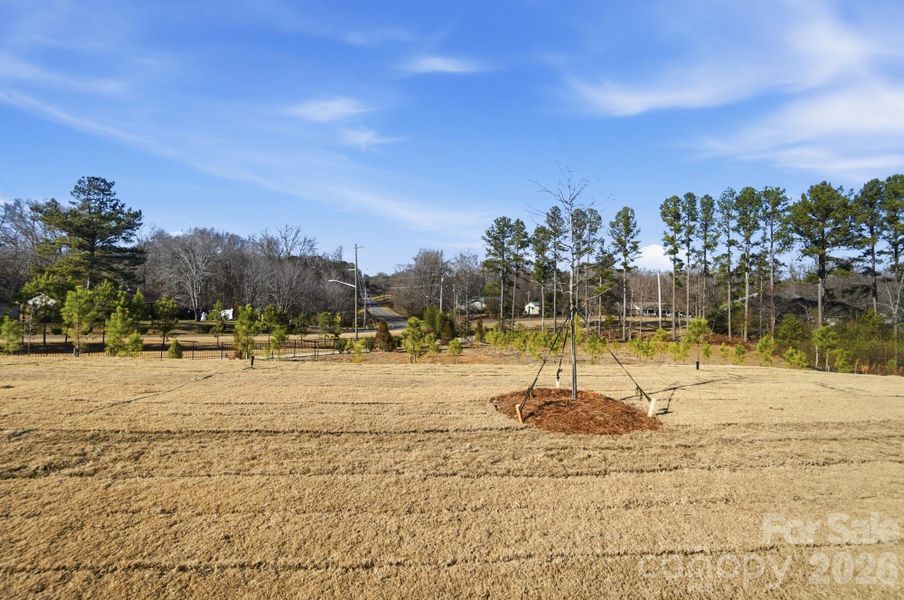 Site preparation for new homesites in Blair Place, Monroe (Image 38).