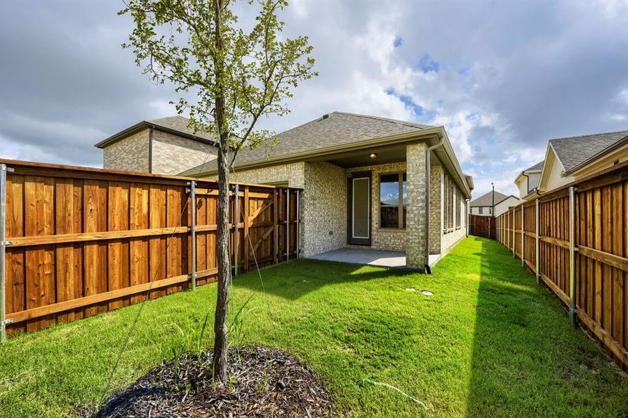 Expansive backyard featuring a manicured lawn, established tree, and a covered concrete patio Expansive backyard featuring a manicured lawn, established tree, and a covered concrete patio