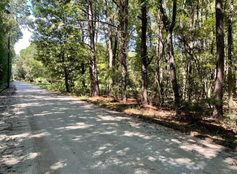 Natural landscape and outdoor views near  in Yonges Island (Image 31).