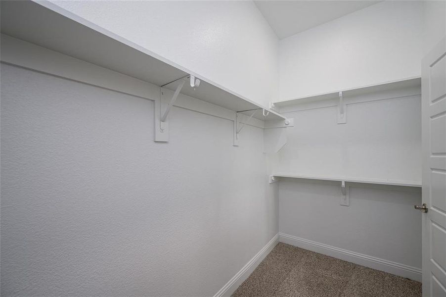 Walk in closet featuring carpet