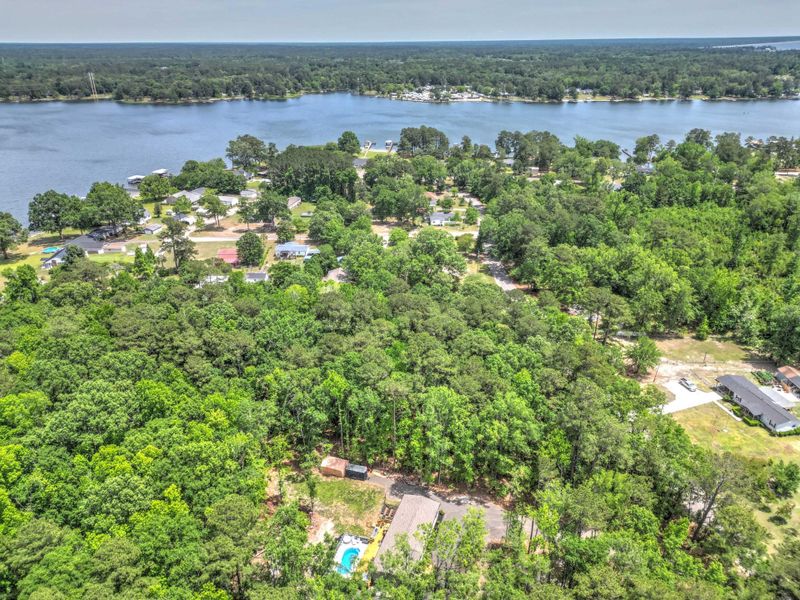 Natural landscape and outdoor views near  in Summerton (Image 47).