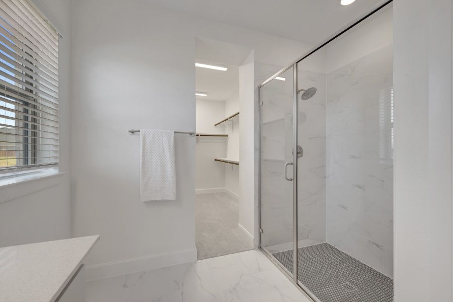 Owner's Bath