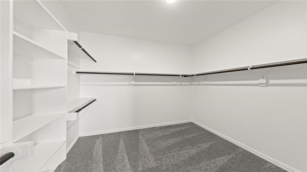 representative image representative image