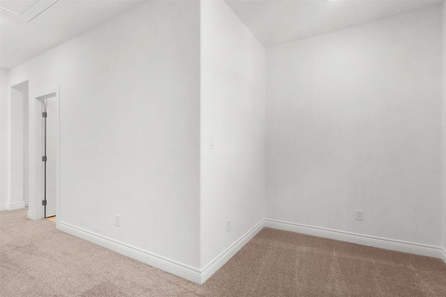 Neutral wall color with baseboard trim and carpet flooring