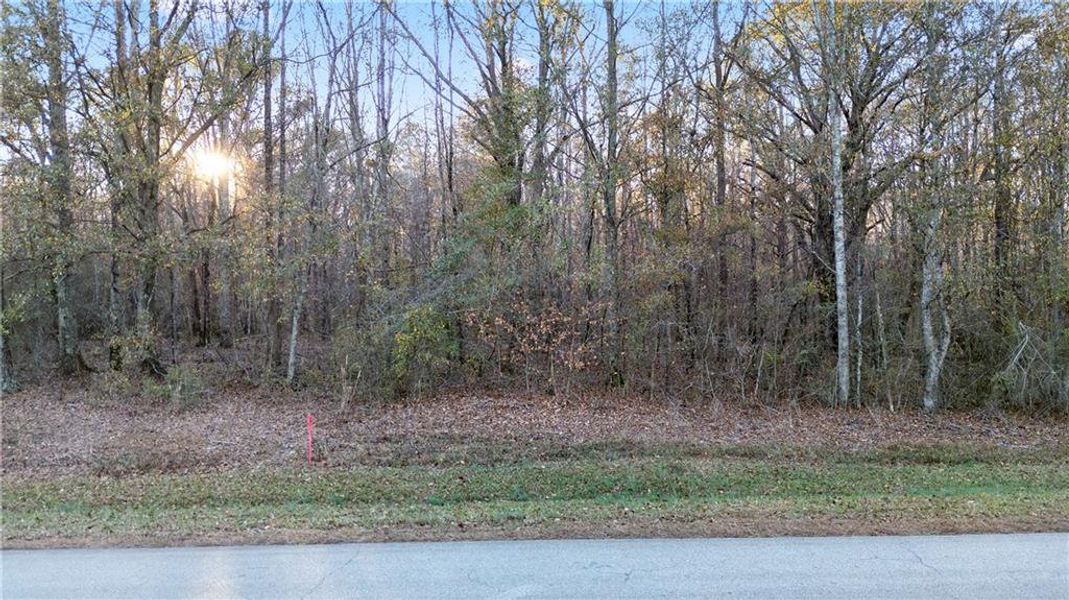 Natural landscape and outdoor views near  in Carrollton (Image 37).