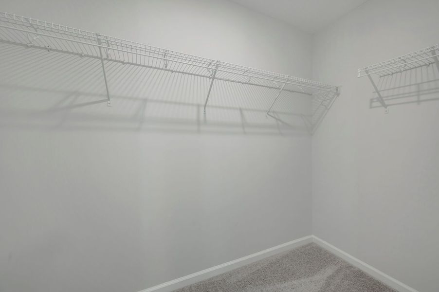 Owner's Closet