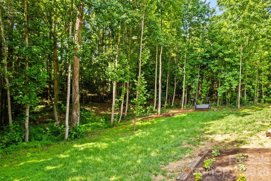 Natural landscape and outdoor views near in Statesville (Image 41). Natural landscape and outdoor views near in Statesville (Image 41).