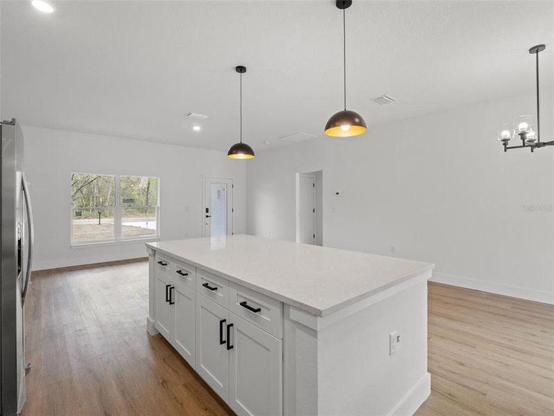 Furnished interior view inside a new home in , Ocklawaha (Image 9).