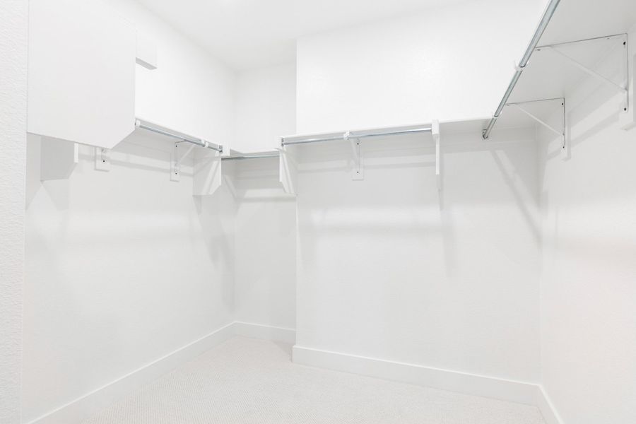 Representative Primary Closet - some options shown