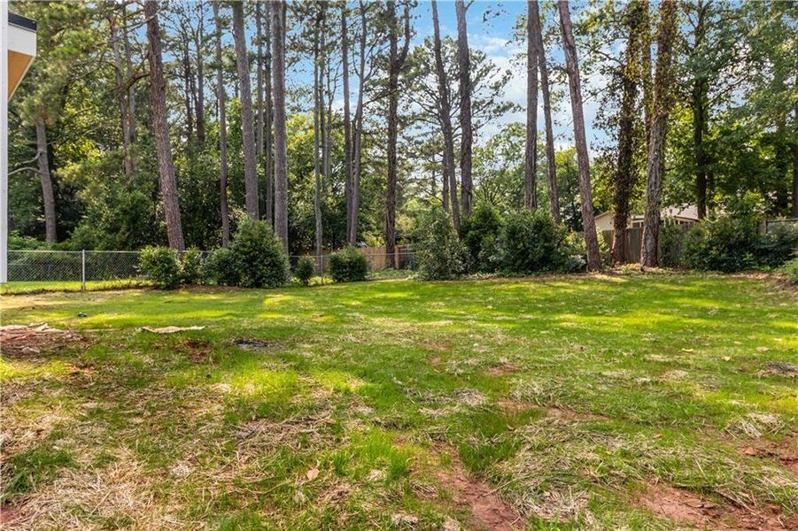 Natural landscape and outdoor views near  in Decatur (Image 52).