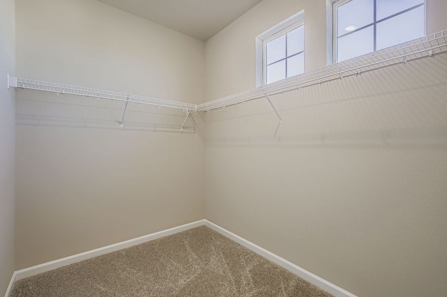 1809 Cord Grass Drive, Fort Collins, CO.  - Slide 19