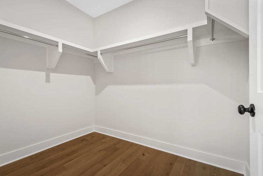 The Dahlia C The Dahlia C