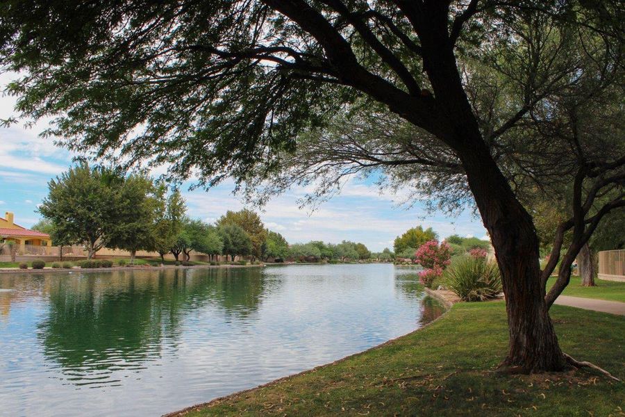 Natural landscape and outdoor views near Sahuarita Acres in Sahuarita (Image 39). Natural landscape and outdoor views near Sahuarita Acres in Sahuarita (Image 39).