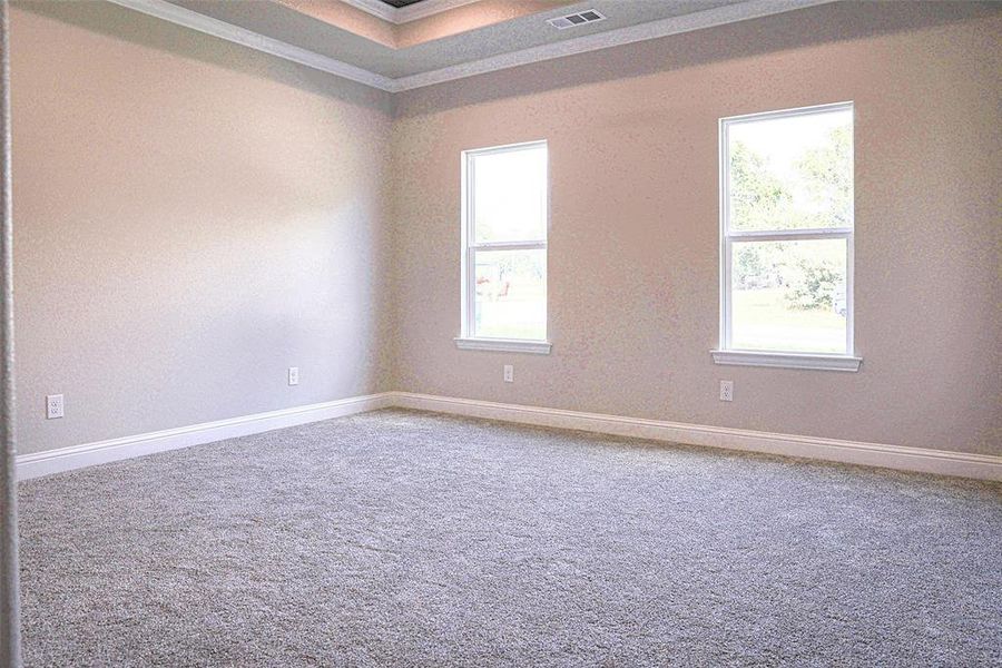 Carpeted spare room featuring ornamental molding