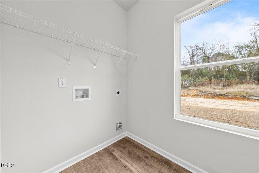 Fay_Stout_17 (19)1 Fay_Stout_17 (19)1