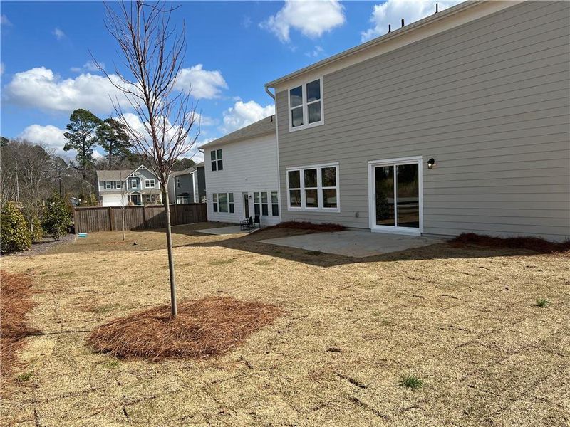 Exterior details and patio area of a home in Crossvine Estates, Braselton (Image 3).