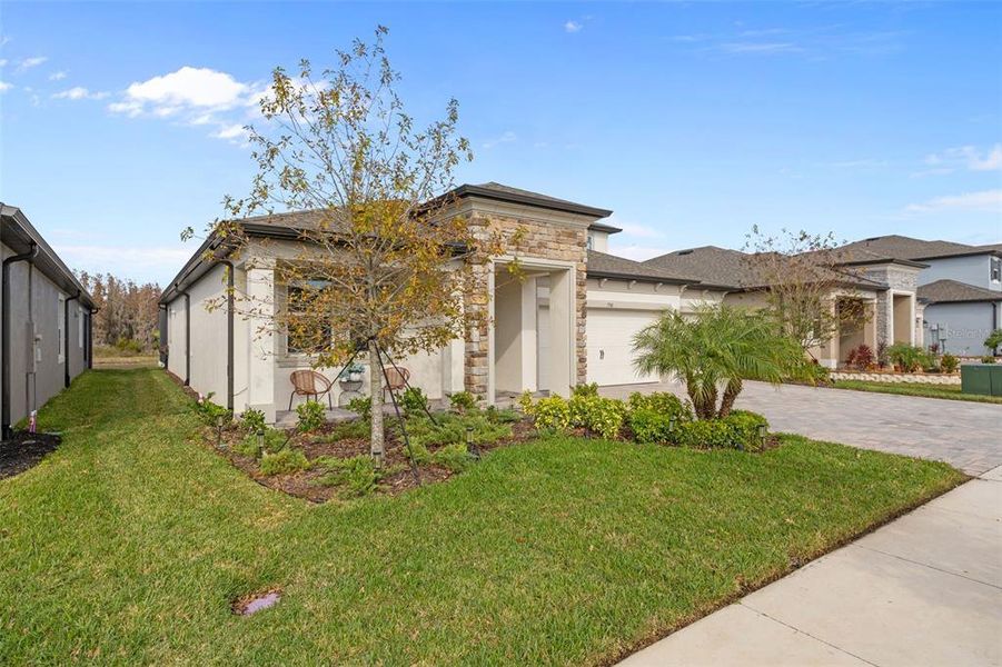 Front exterior of a new home in , Wesley Chapel, FL, highlighting curb appeal (Image 26). Front exterior of a new home in , Wesley Chapel, FL, highlighting curb appeal (Image 26).