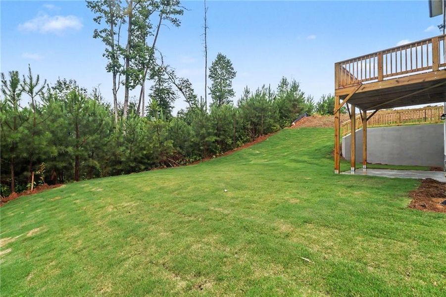 Exterior details and patio area of a home in Thunder Ridge, Dawsonville (Image 31).