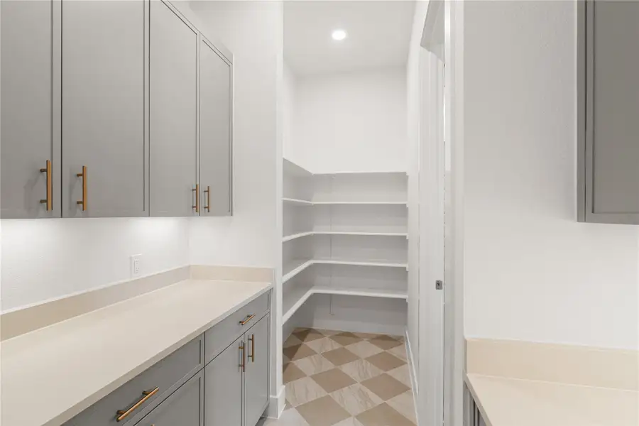 Pantry featuring extensive shelving and practical counter space. Pantry featuring extensive shelving and practical counter space.