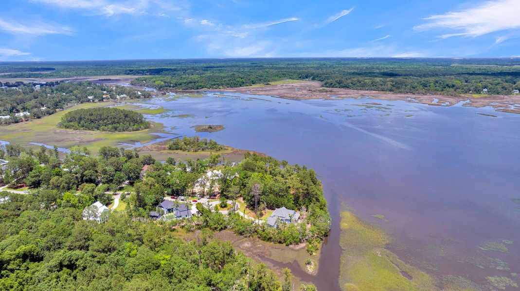 Natural landscape and outdoor views near  in Ravenel (Image 76).