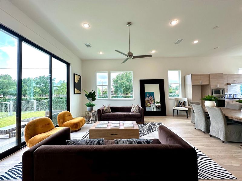 Natural South/West Lit Living Space Natural South/West Lit Living Space