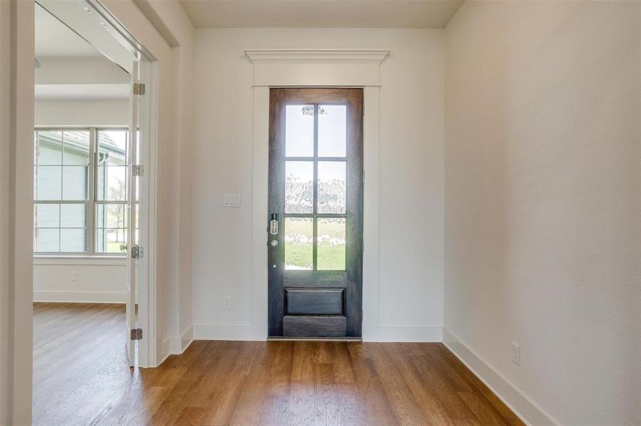 Foyer entrance with hardwood / wood-style floors and plenty of natural light