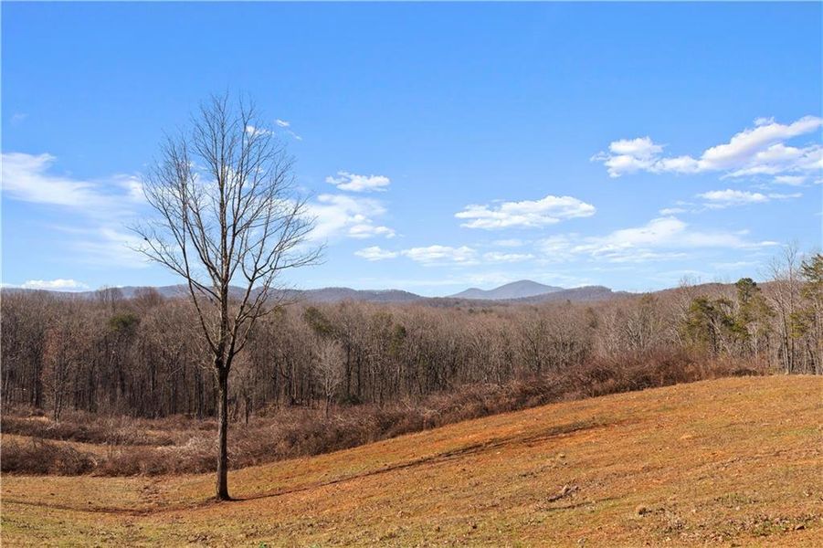 Natural landscape and outdoor views near  in Clarkesville (Image 25).