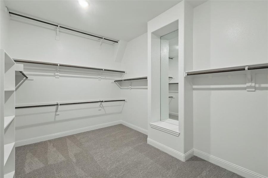 Spacious closet with carpet