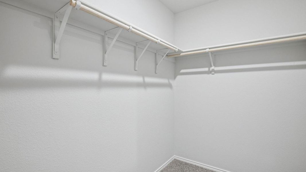 Walk in closet featuring carpet flooring
