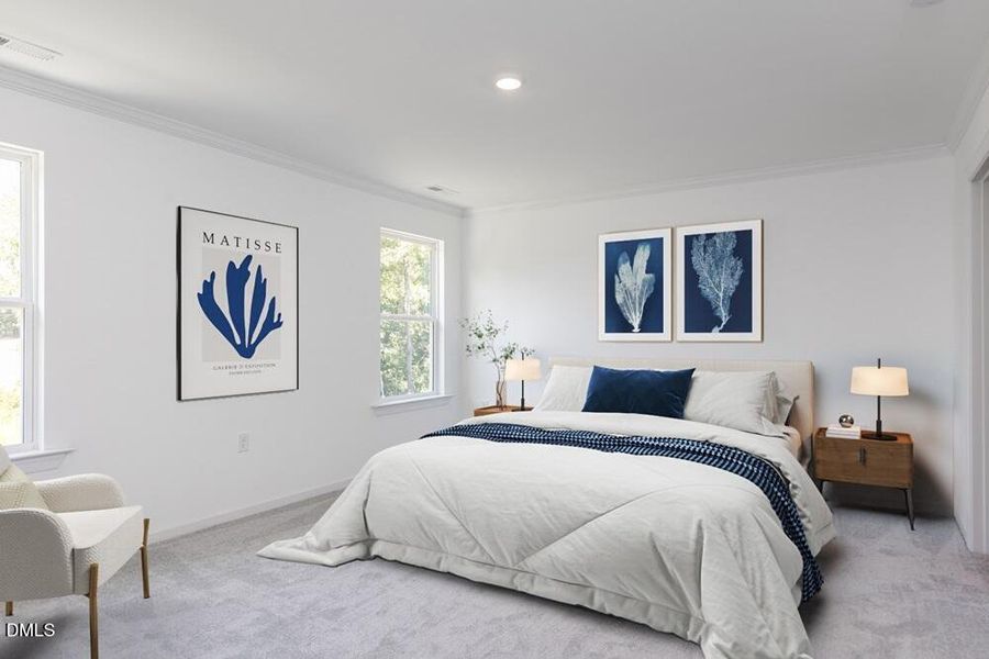 Stella - Primary Stella - Primary