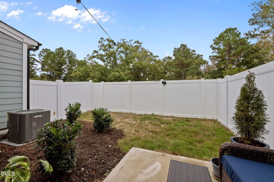 41-web-or-mls-P1091049