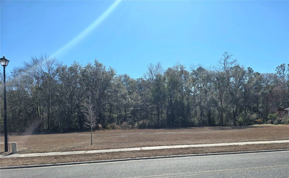 Image 28 of a home in The Preserve at Laurel Lake.