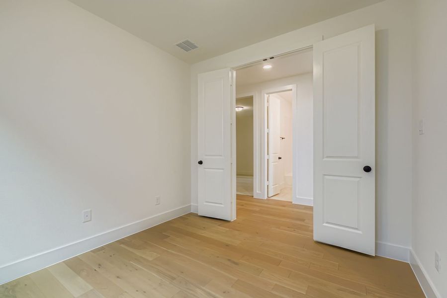 828 Trailing Vine - Study