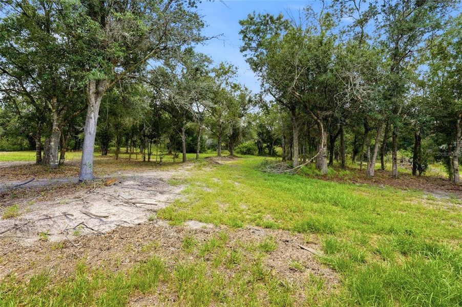 Natural landscape and outdoor views near  in Okeechobee (Image 36).