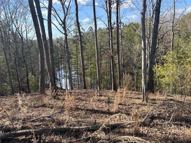 Natural landscape and outdoor views near  in Ellijay (Image 8).