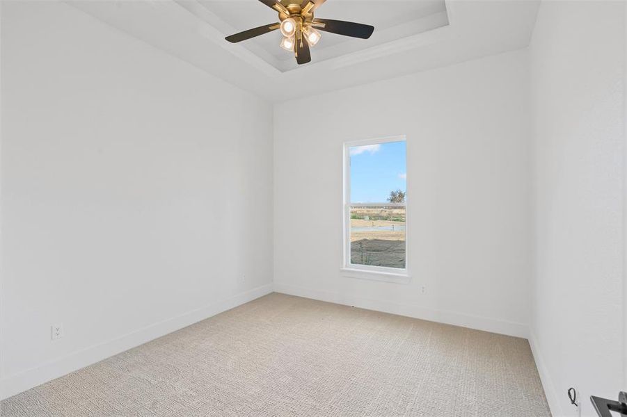 Unfurnished room featuring carpet floors, a tray ceiling, and ceiling fan