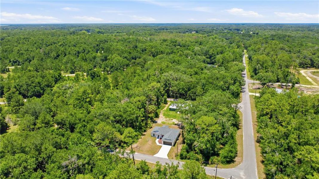 Natural landscape and outdoor views near in Ocklawaha (Image 44). Natural landscape and outdoor views near in Ocklawaha (Image 44).