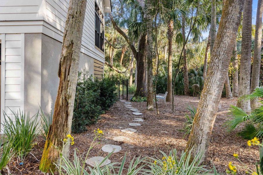 Natural landscape and outdoor views near  in Seabrook Island (Image 92).