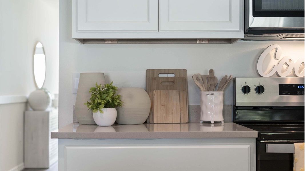 Representative interior finishes for a home built from the Aria by D.R. Horton in Magnolia Pointe, Umatilla (Image 9).