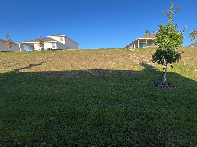 Natural landscape and outdoor views near Hills of Minneola in Minneola (Image 24). Natural landscape and outdoor views near Hills of Minneola in Minneola (Image 24).