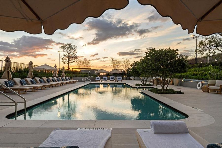 Community amenities in , Tampa (Image 75).