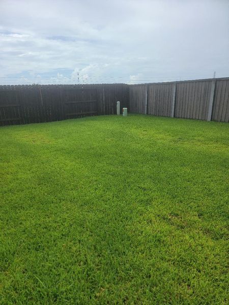 Large backyard Large backyard
