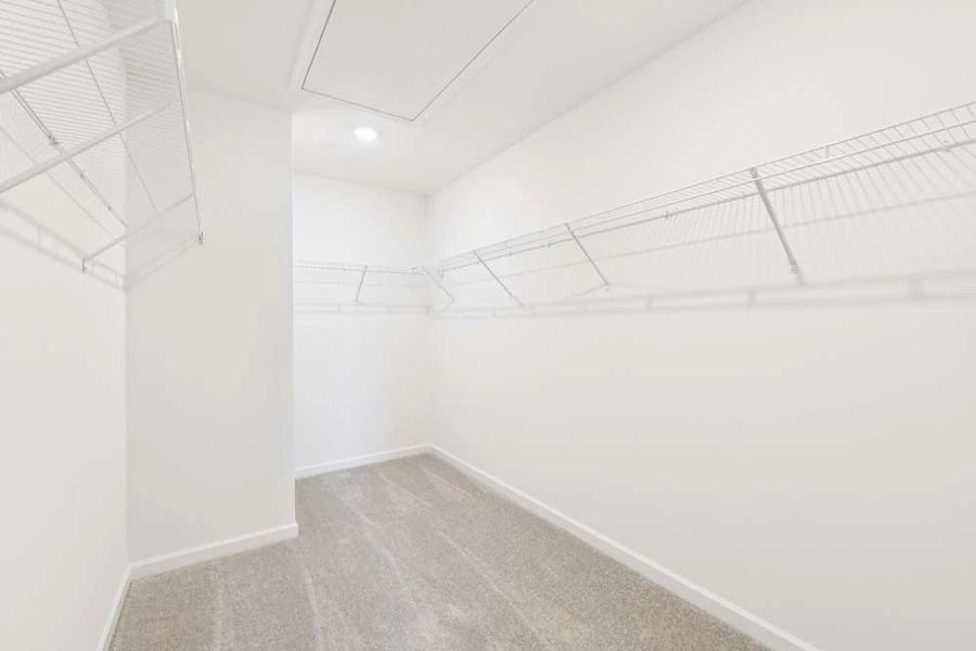 Primary Bedroom Walk-In Closet