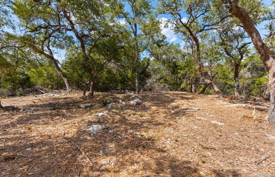 Natural landscape and outdoor views near  in New Braunfels (Image 103).