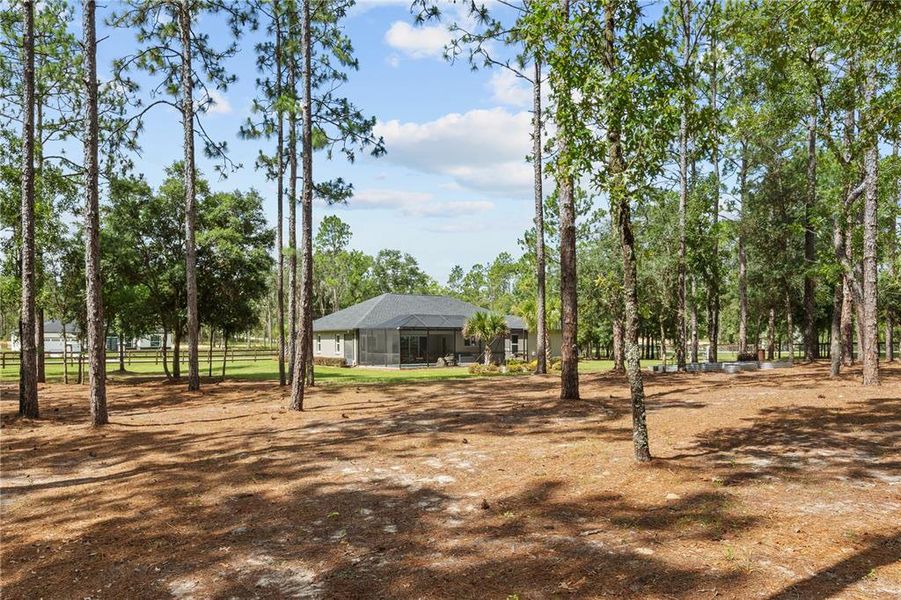 Natural landscape and outdoor views near  in Dunnellon (Image 57).