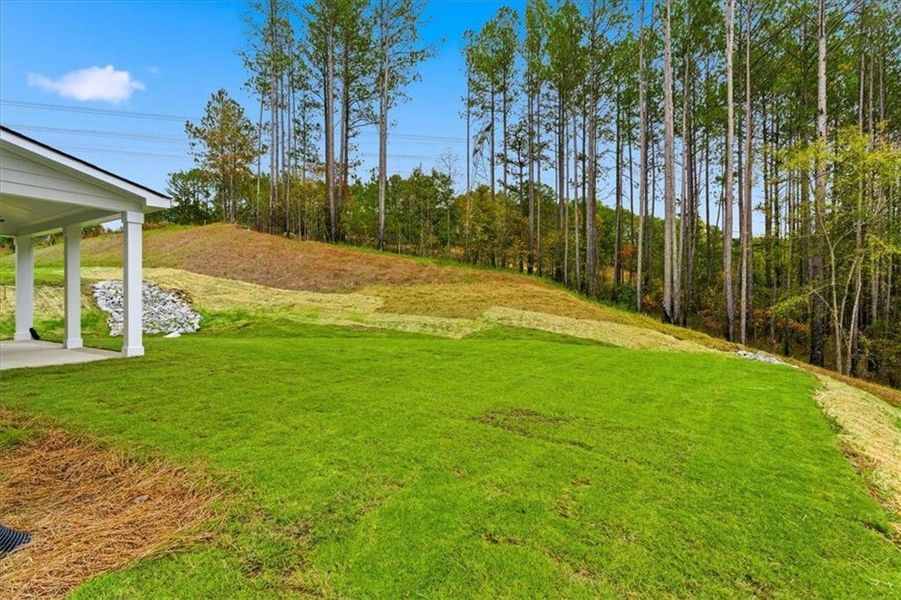 Natural landscape and outdoor views near in Dallas (Image 54). Natural landscape and outdoor views near in Dallas (Image 54).