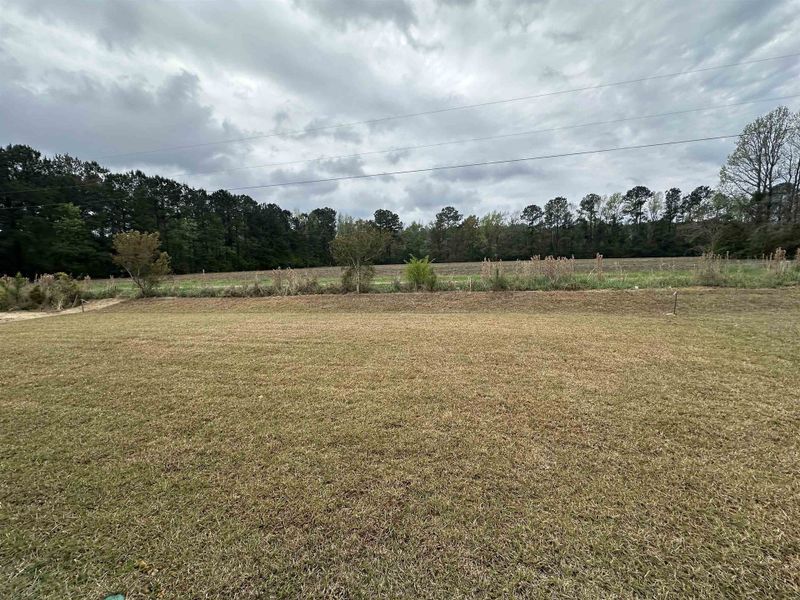 Natural landscape and outdoor views near Oak Hollow in Longs (Image 13).